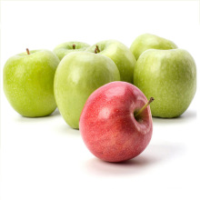 Chinese fresh green apple cheap price